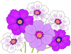 Colorful Flowers 05_OSG